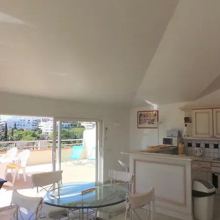 Spacious And Bright Flat Downtown And Beaches - Swimming Pool Апартаменты Антиб
